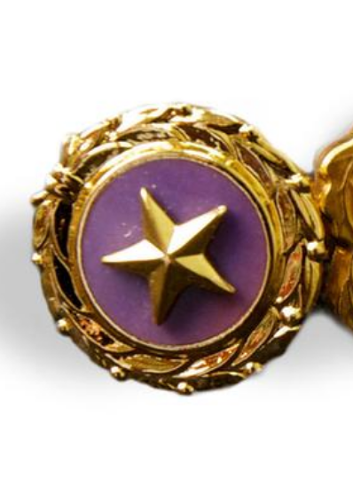 Gold Star Pin